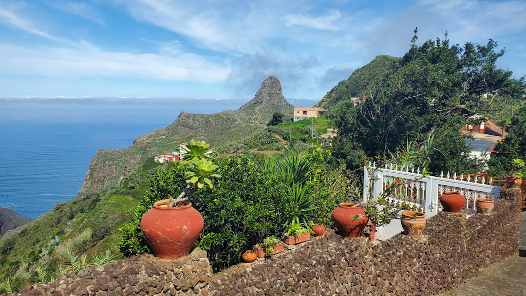 马德拉植物园：天与海之间的露台 - 9060-345 Funchal | Secret World Trip Planner