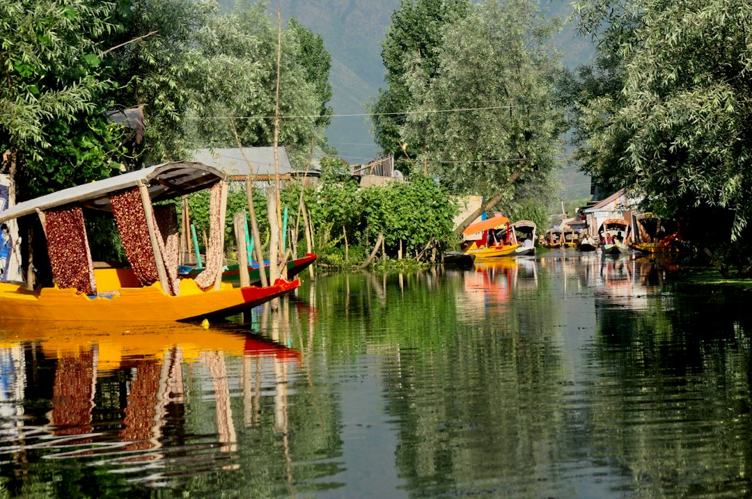 Jardim de Tulipas em Srinagar: florescendo nas montanhas - Rainawari | Secret World Trip Planner