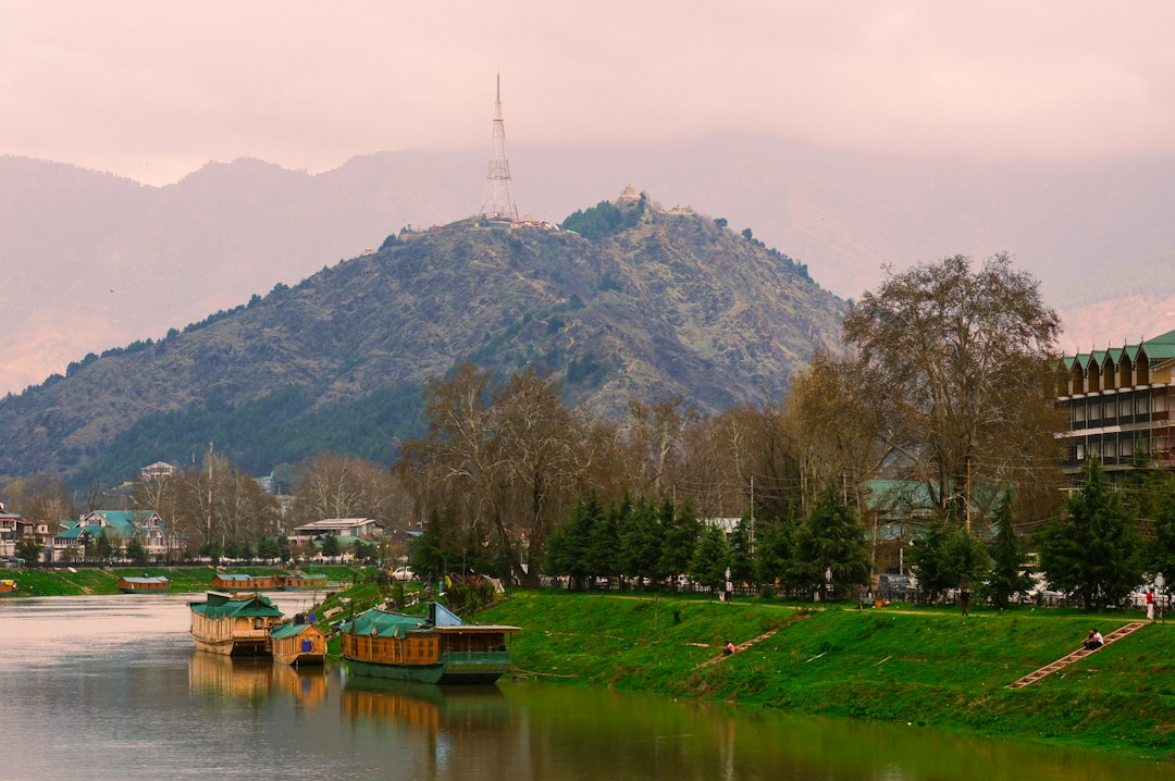 Jardim de Tulipas em Srinagar: florescendo nas montanhas - Rainawari | Secret World Trip Planner