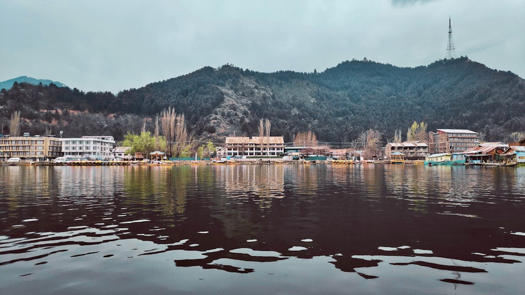Тюльпановый сад в Сринагаре: цветение среди гор - Rainawari | Secret World Trip Planner
