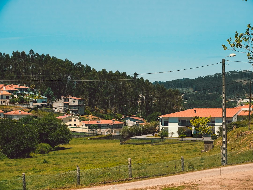 Quinta das Sequóias: il parco segreto di Sintra - Estrada de Monserrate | Secret World Trip Planner