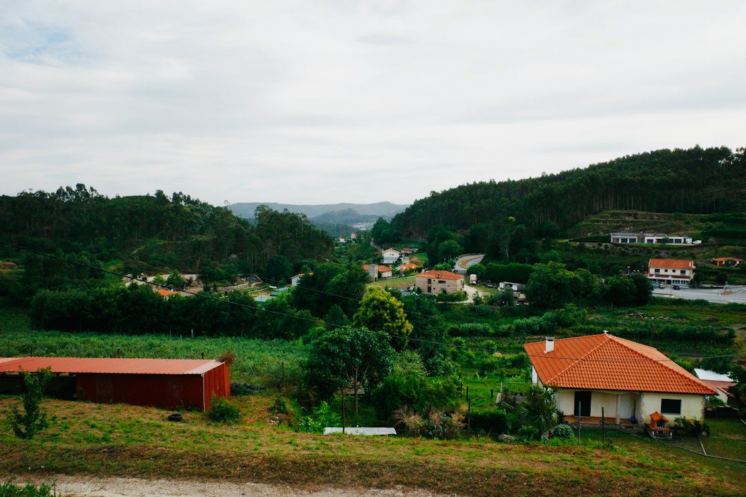 Quinta das Sequóias: el parque secreto de Sintra - Estrada de Monserrate | Secret World Trip Planner