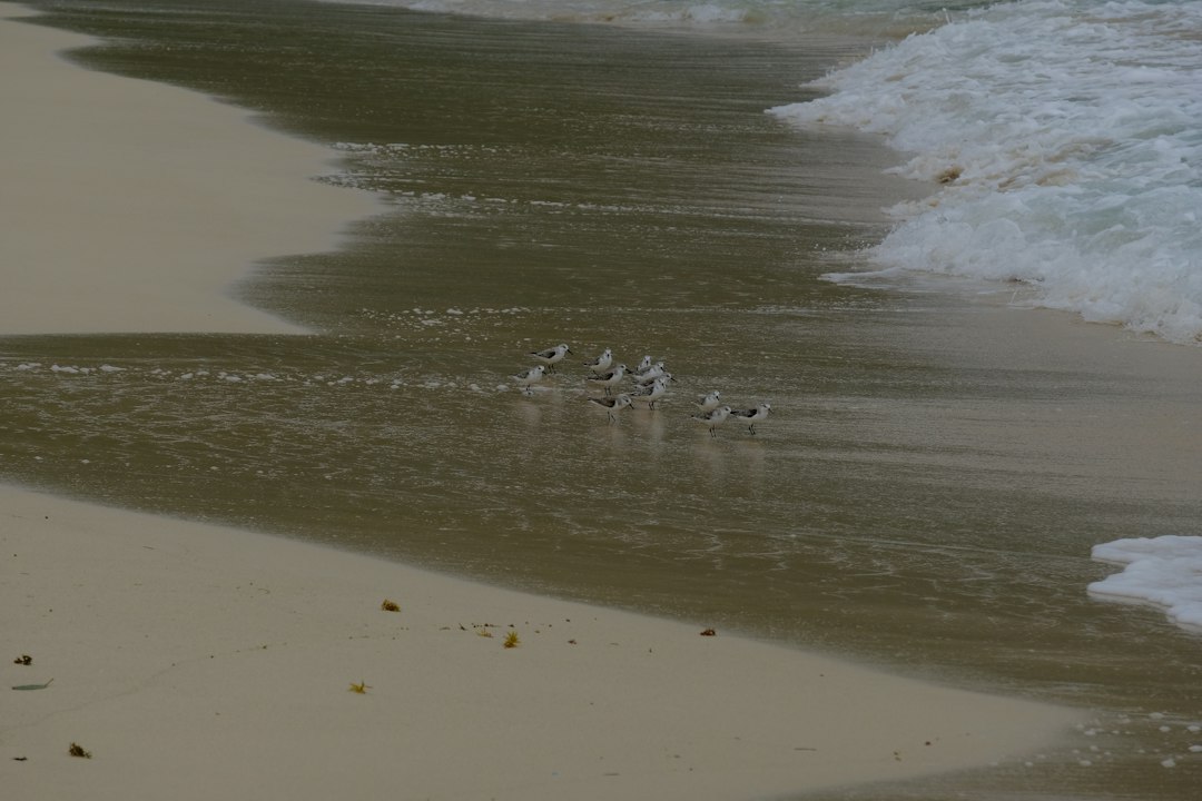 Playa Rincón, Samaná : la plage sans hôtels - Carr. a Playa Rincón | Secret World Trip Planner