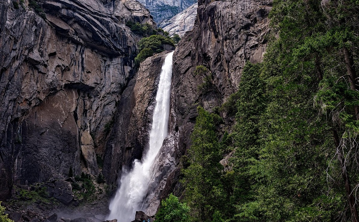 カリフォルニア州のヨセミテ国立公園でスギナの秋 - Tioga Pass Rd | Secret World Trip Planner
