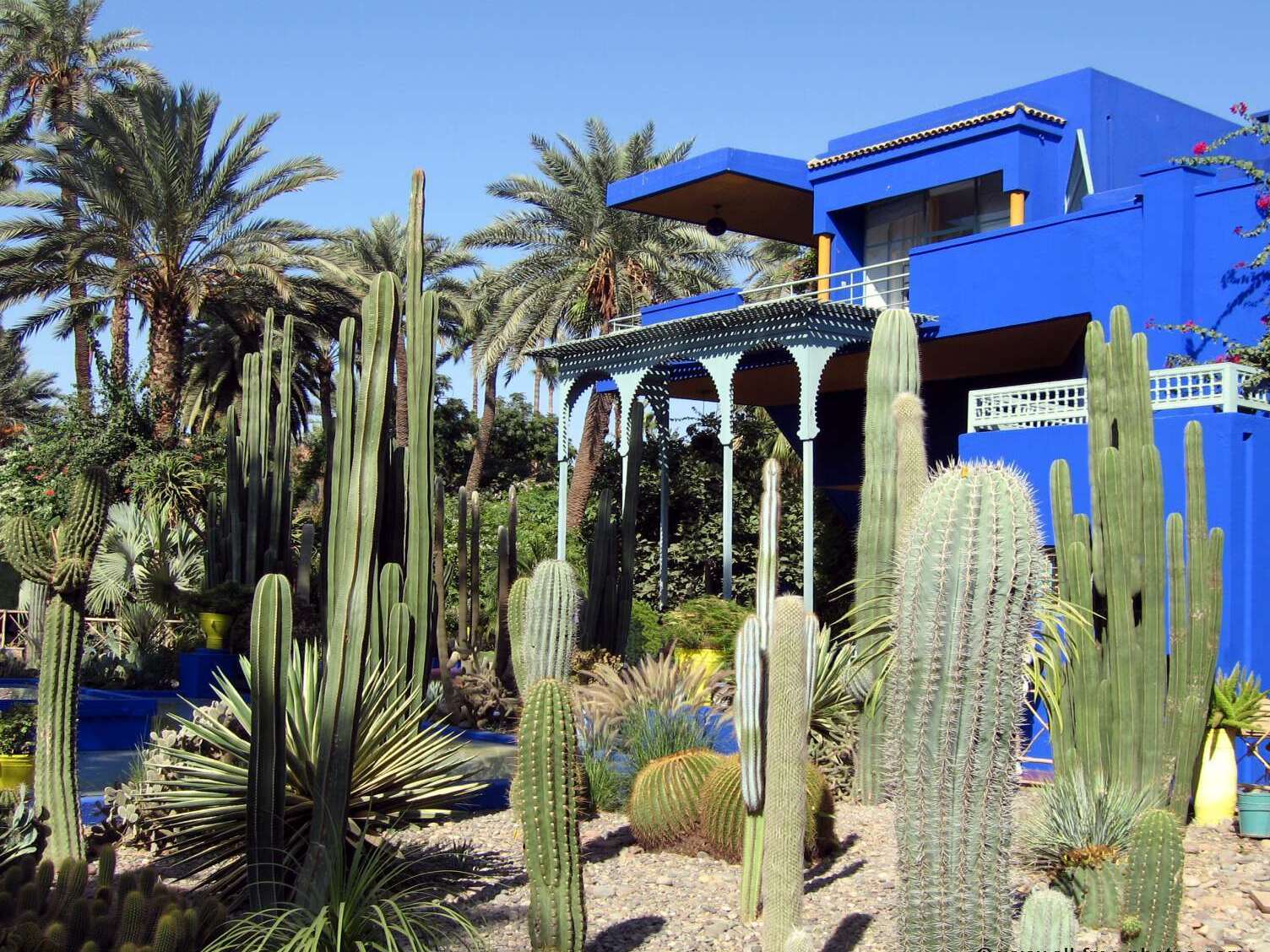 Rue Yves St Laurent Marrakech: The Majorelle Gardens - Marrakech | Secret World Trip Planner