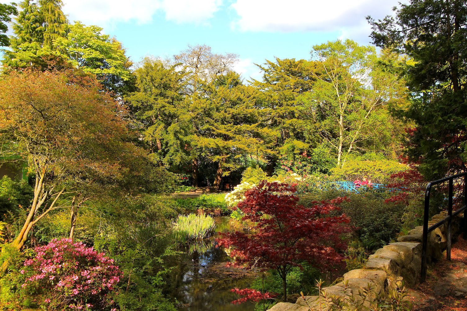 Johnston Kebon ing Aberdeen - Aberdeen | Secret World Trip Planner