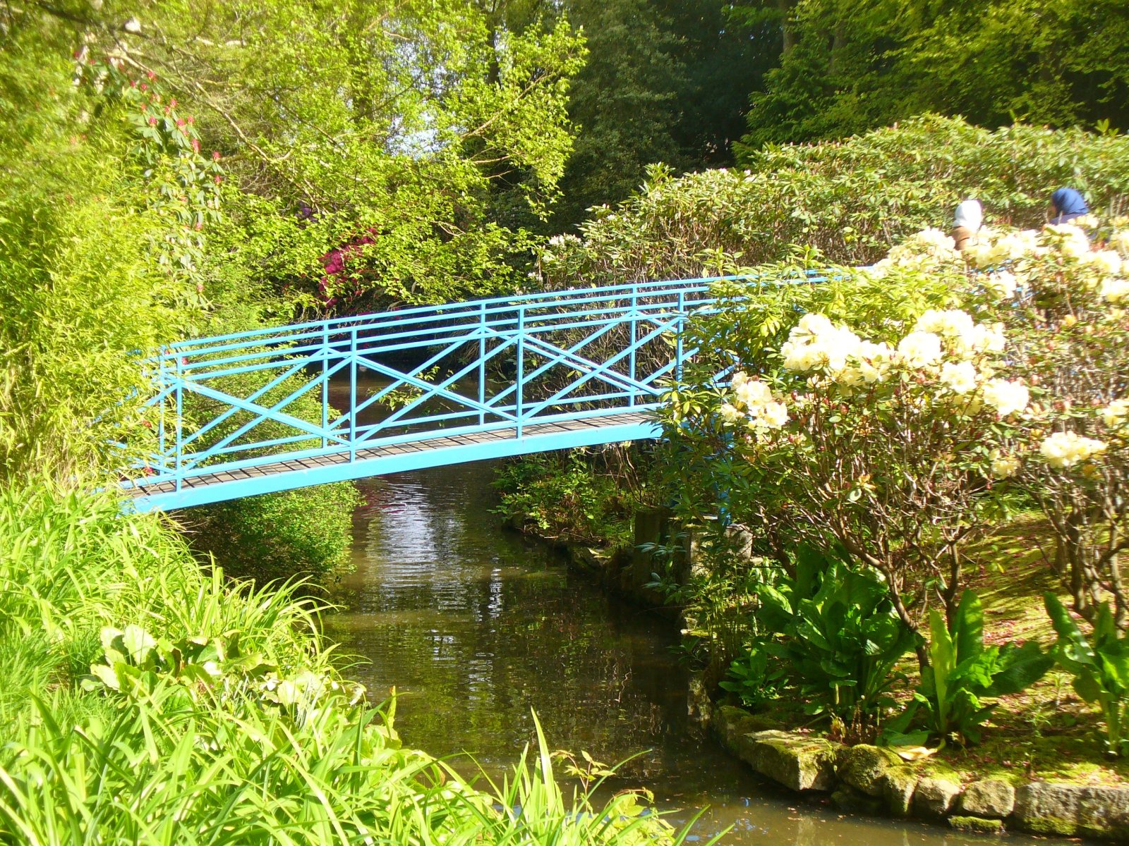 Johnston Kebon ing Aberdeen - Aberdeen | Secret World Trip Planner