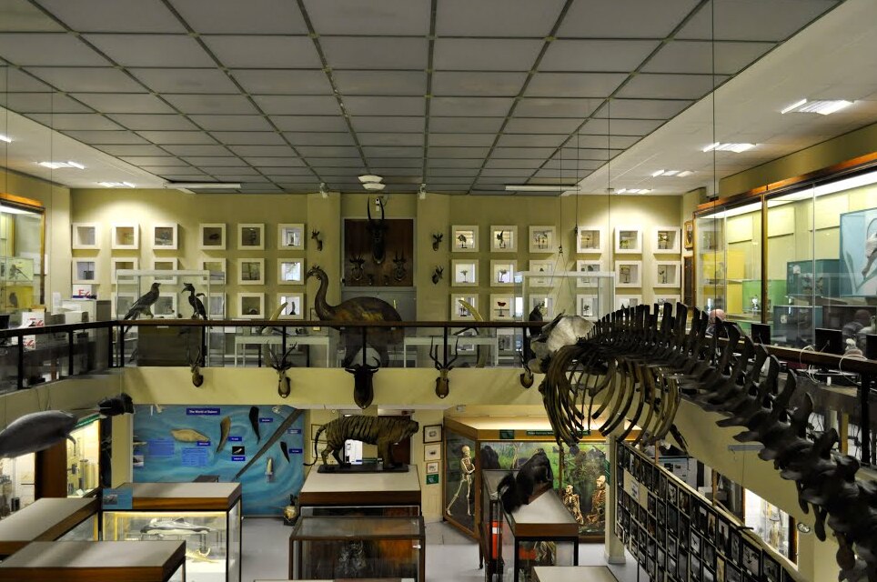 Aberdeen Museum Zoologi - Aberdeen | Secret World Trip Planner