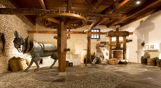 MOO zeytin ve petrol Müzesi - Rondissone | Secret World Trip Planner