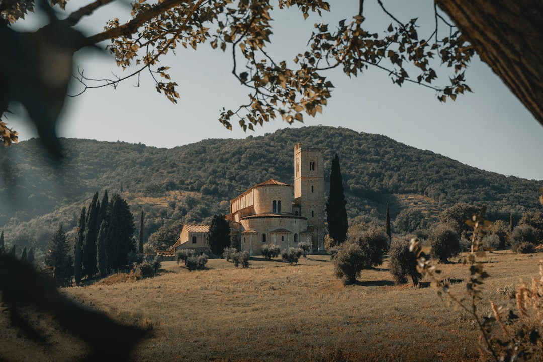 Luí na gréine iontach ar an Brunello di Montalcino bhfíonghort - 53024 Montalcino SI | Secret World Trip Planner