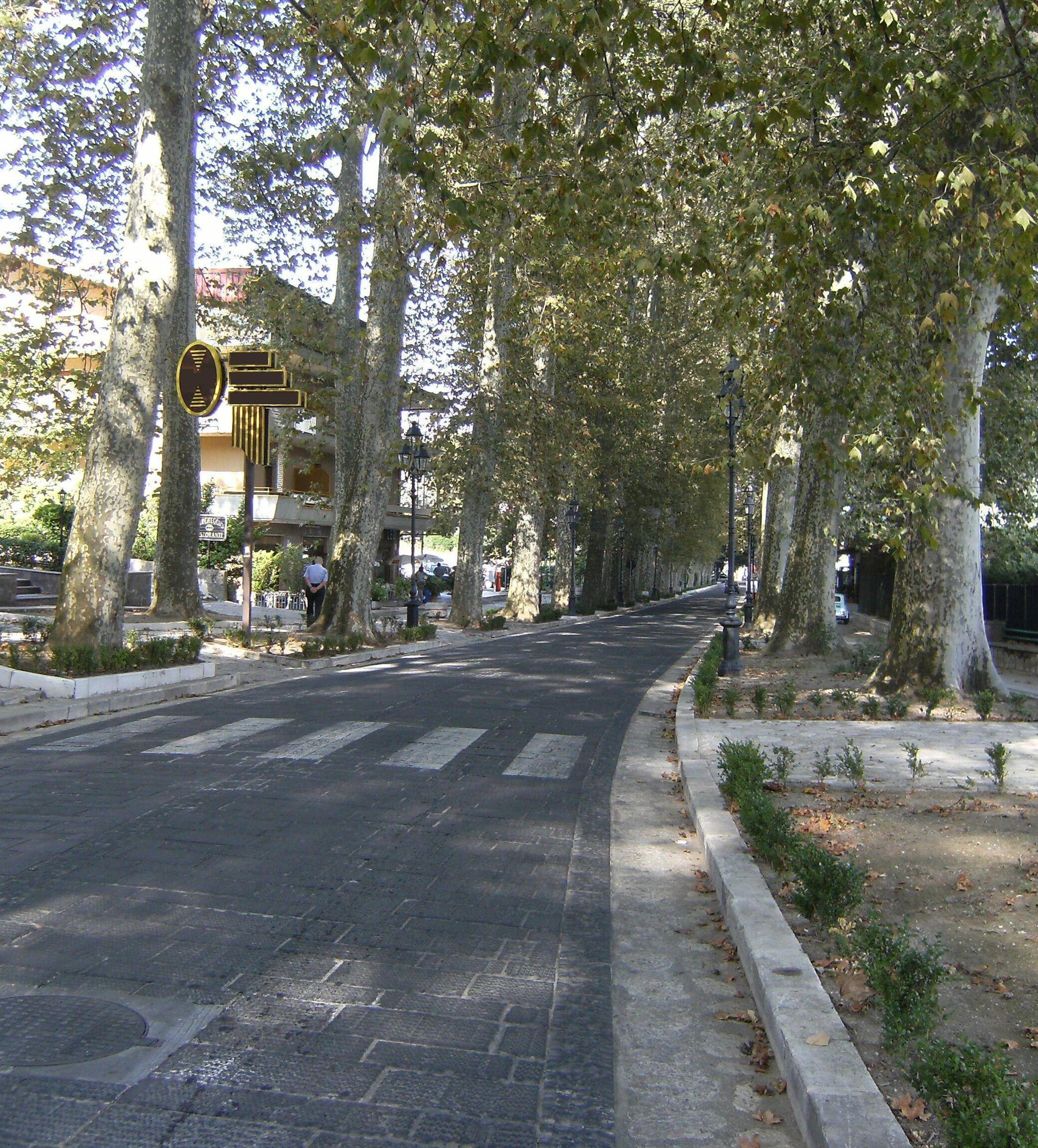 Herri Mercogliano  - Mercogliano | Secret World Trip Planner