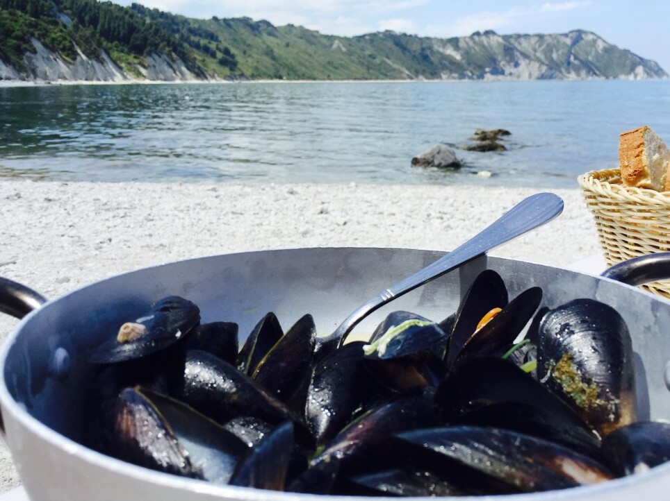 Mga tatak at pagkain - Monte Conero | Secret World Trip Planner