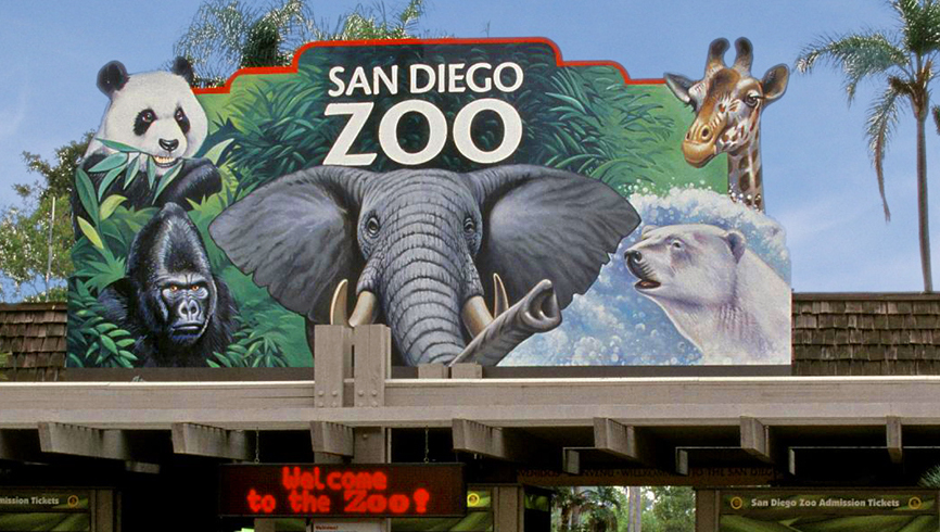 ಸ್ಯಾನ್ ಡಿಯೆಗೊ ಮೃಗಾಲಯದ - San Diego | Secret World Trip Planner