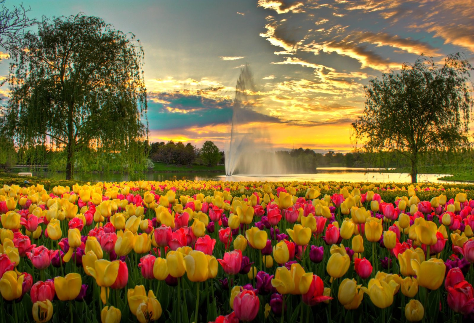 Chicago Botanic Garden - Glencoe | Secret World Trip Planner