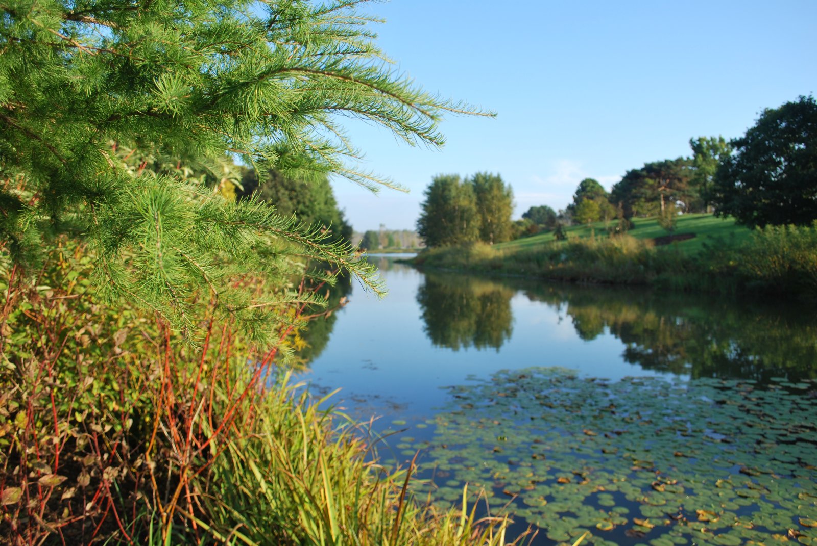 Chicago Botanic Garden - Glencoe | Secret World Trip Planner