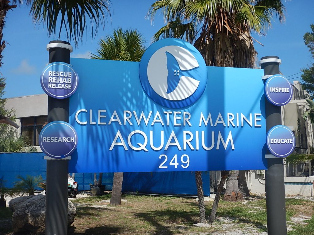 Clearwater Marine Aquarium