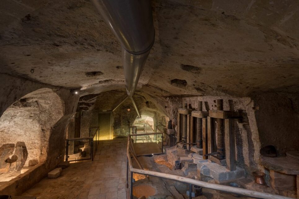 Moom, minyak zaitun Muzium Matera - Matera | Secret World Trip Planner