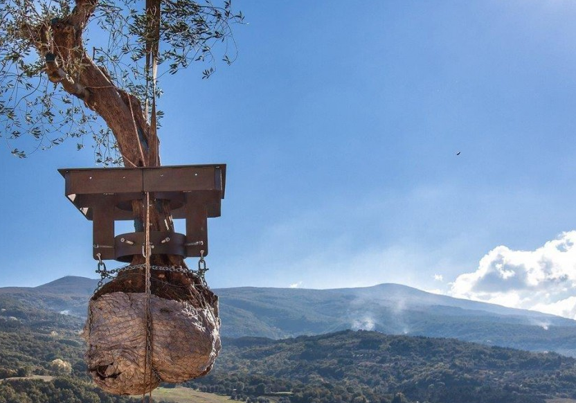 Maremma / olie Museum af Seggiano - Seggiano | Secret World Trip Planner