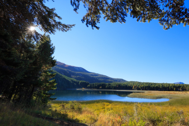 Cagar Alam Nasional Coyhaique - Coyhaique | Secret World Trip Planner