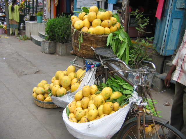 Banganapalli Mango - Banaganapalli | Secret World Trip Planner