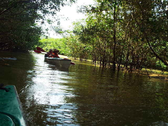 Isla Korazon Mangrov qo'riqxonasi - Bahia de Caraquez | Secret World Trip Planner