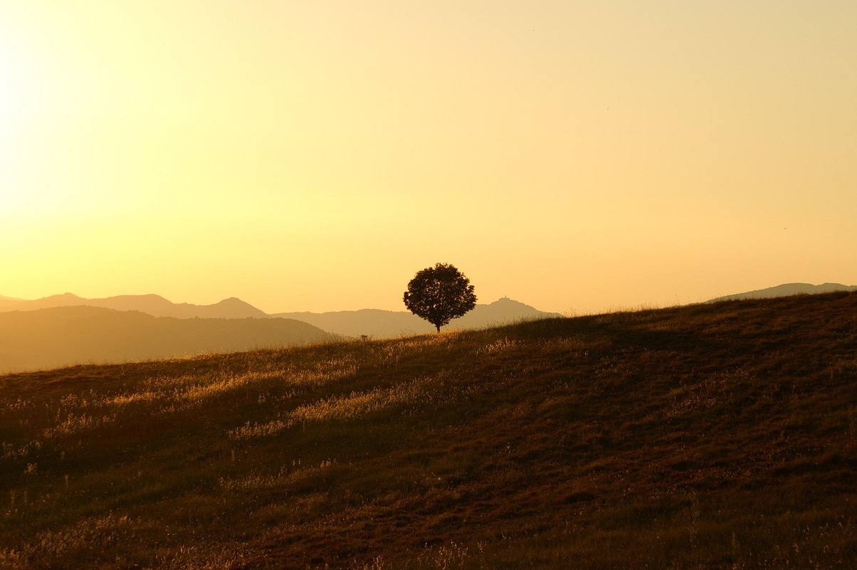 Oca muta aastal porchetta ( muskuspart aastal porchetta) - Umbria | Secret World Trip Planner