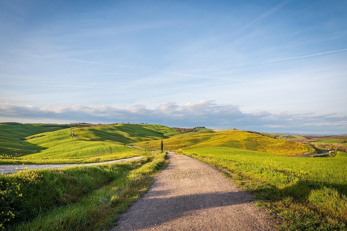 Маленькая Італія і свята Святога Дженнаро  - New York | Secret World Trip Planner