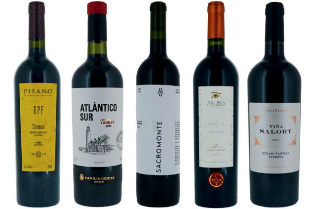 Tangkilikin ang masarap na alak! - Montevideo Department | Secret World Trip Planner