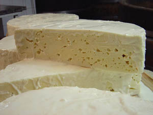 Აქ - Vito D'asio | Secret World Trip Planner