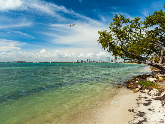 Parc de la plage de Virginia Key - Florida | Secret World Trip Planner