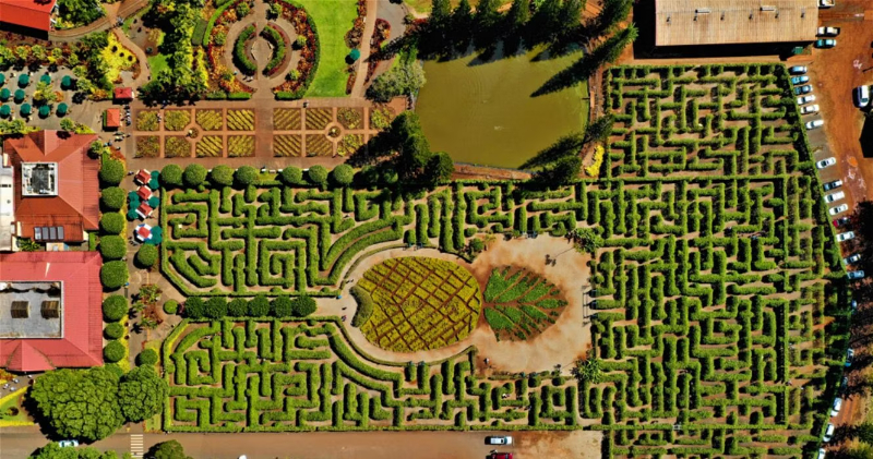 Dole Plantation Maze၊ Hawaii - Wahiawa | Secret World Trip Planner