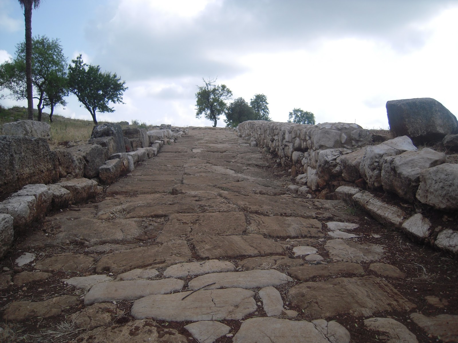 Латиноамерикански език