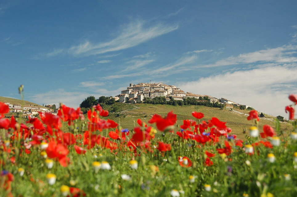 Castelluccio i cvjetanje - Castelluccio | Secret World Trip Planner