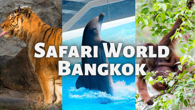 Safari ya Dunia Bangkok - Khet Khlong Sam Wa | Secret World Trip Planner