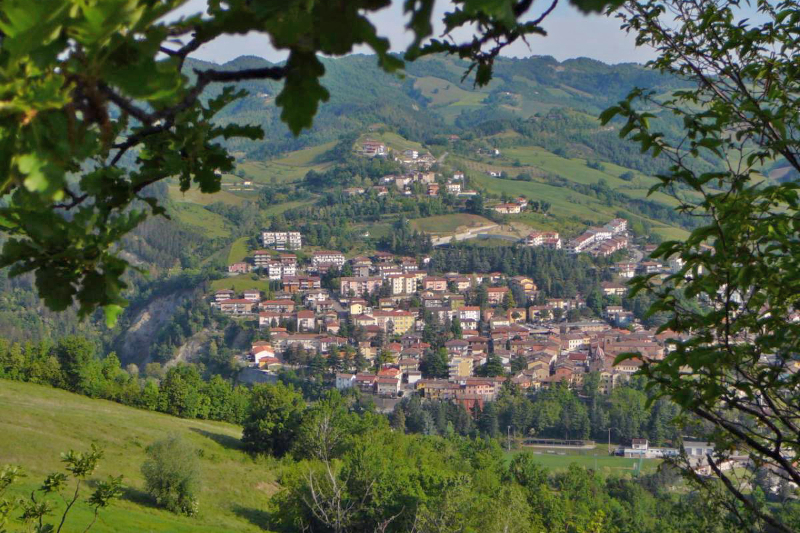 Village of Sarsina
