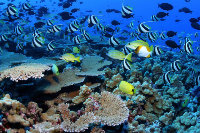 Morský park Montego Bay - Montego Bay | Secret World Trip Planner