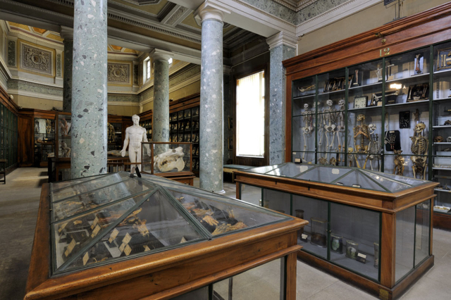 Anatomisch museum van Montpellier - Montpellier | Secret World Trip Planner