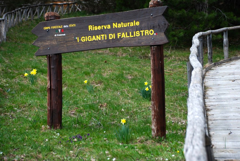 သီလ၏ ဘီလူးများ