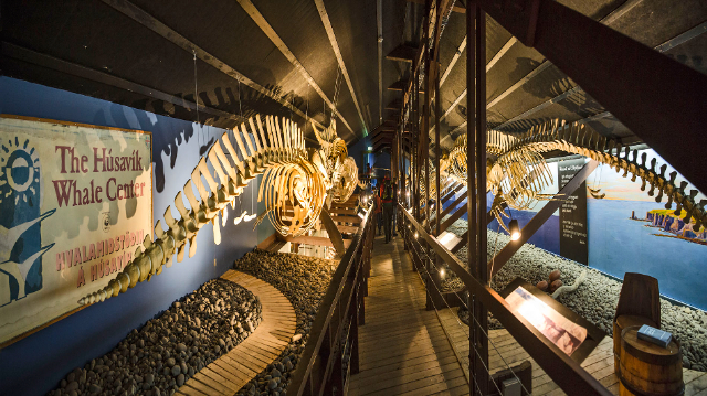 Balea Museoa - Húsavík | Secret World Trip Planner