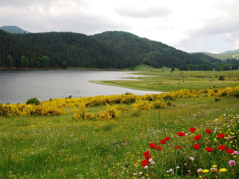 sjön Ampollinosjön