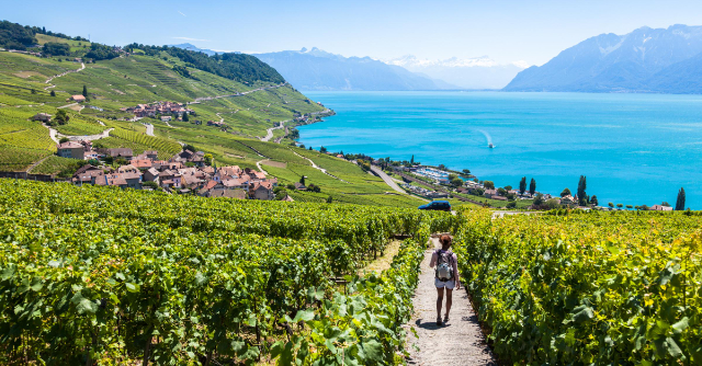 Lavaux, токзорҳои Швейтсария мероси ЮНЕСКО. - Distretto di Lavaux-Oron | Secret World Trip Planner