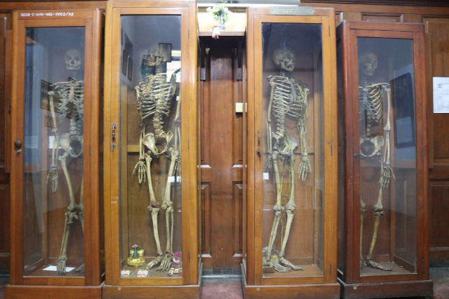 Músaem Leighis Siriraj Bancác, An Téalainn - Bangkok | Secret World Trip Planner