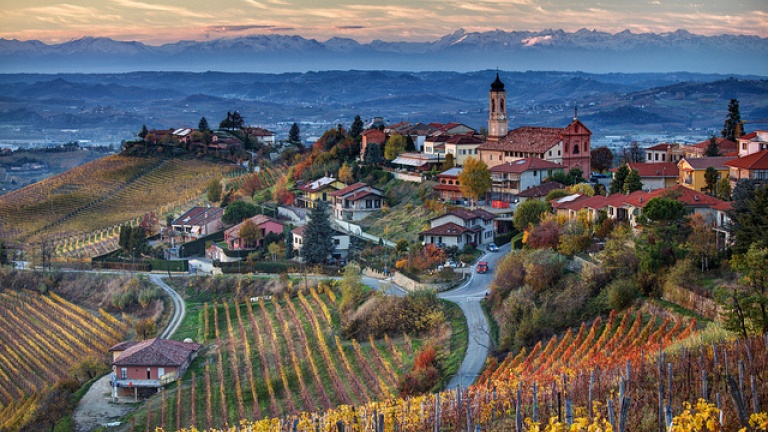 Кращі вина світу: Барбареско - Barbaresco | Secret World Trip Planner