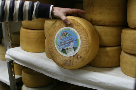 Canestrato Pugliese