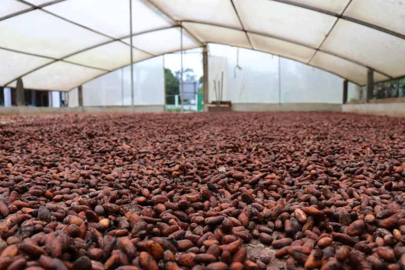 Кито, Еквадор