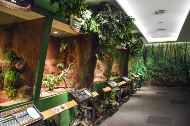 Is Serpentarium mé - Khet Lat Krabang | Secret World Trip Planner