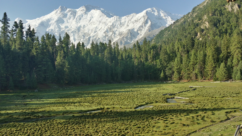 ਫੈਰੀ ਮੀਡੋਜ਼ ਨੈਸ਼ਨਲ ਪਾਰਕ, ਪਾਕਿਸਤਾਨ - Fairy Meadows | Secret World Trip Planner