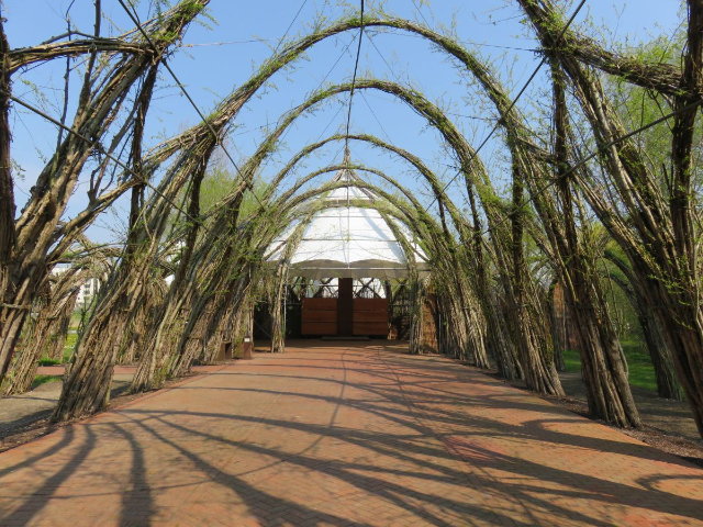 Weidendom Ростак - Rostock | Secret World Trip Planner