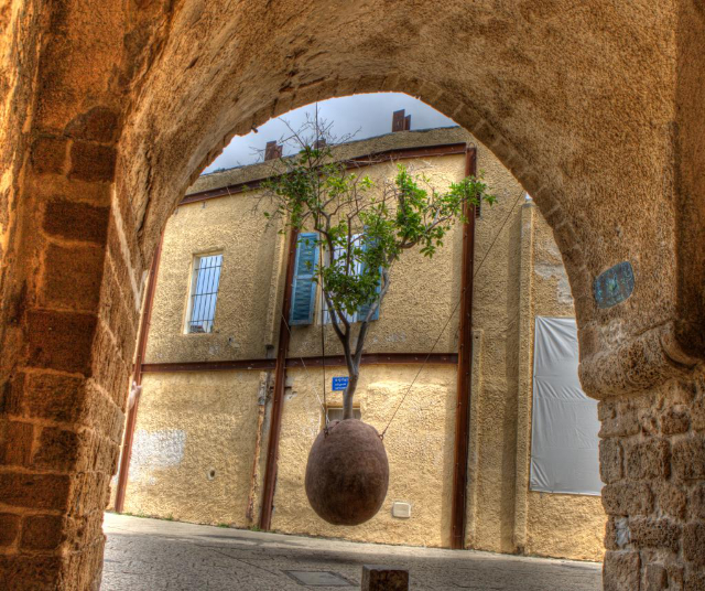 Zawieszone Drzewo Pomarańczowe - Tel Aviv-Yafo | Secret World Trip Planner
