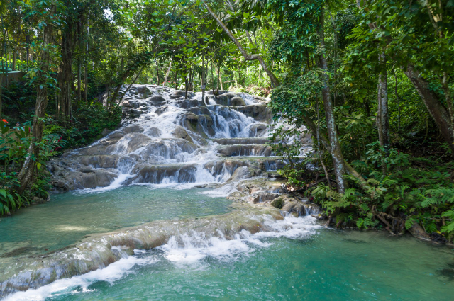 Rijeka Cascata del Dunn - Ocho Rios | Secret World Trip Planner